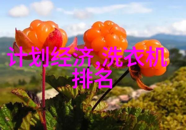 小型不锈钢制品加工厂在技术创新和更新换代方面的策略探讨