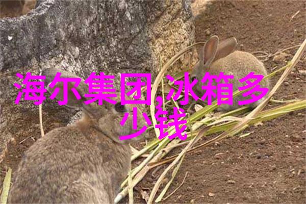 塞外奇侠传我与那段神秘的边疆岁月