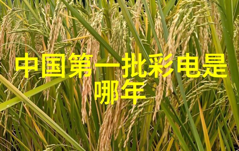 净化工艺探索净制过程中的关键词汇与技术创新