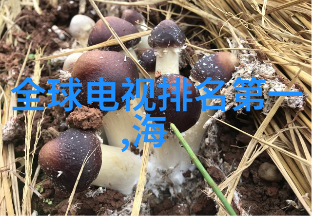 医用水处理净化设备的设计与应用研究