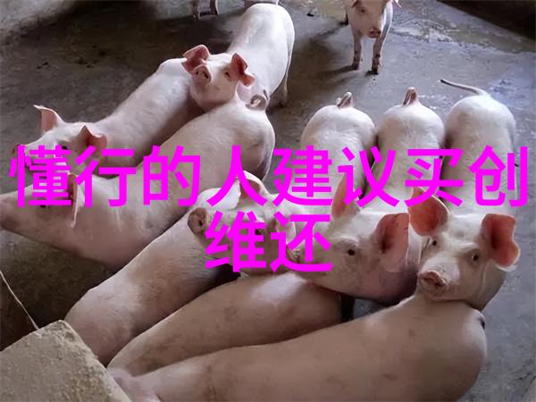 五金配件大集合从螺丝到锁孔点亮你的DIY梦想