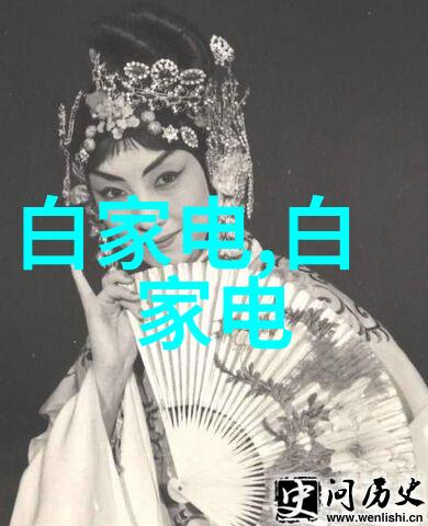 蒸汽动力革命全自动蒸汽发生器的奇迹之作