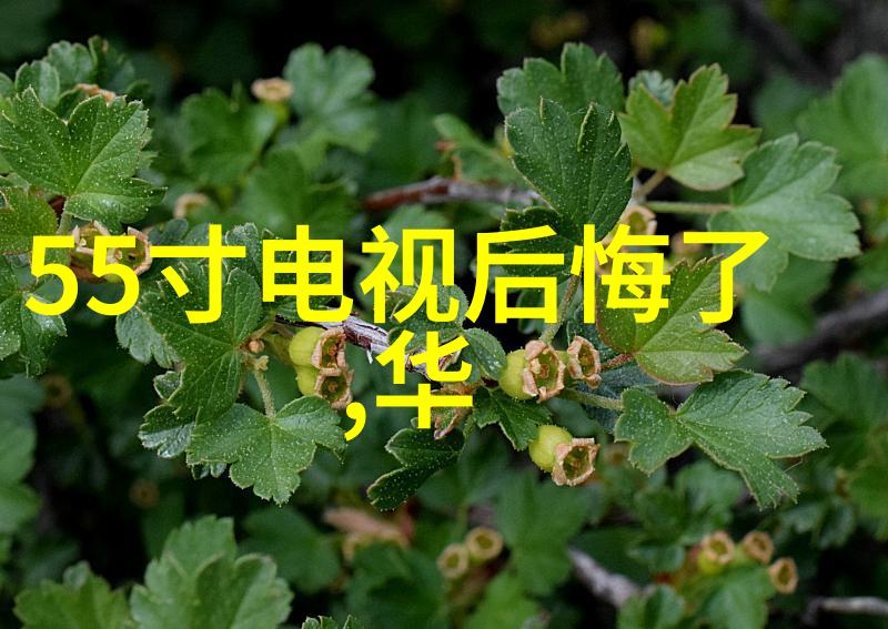 家庭污水处理器清洁家园的守护者
