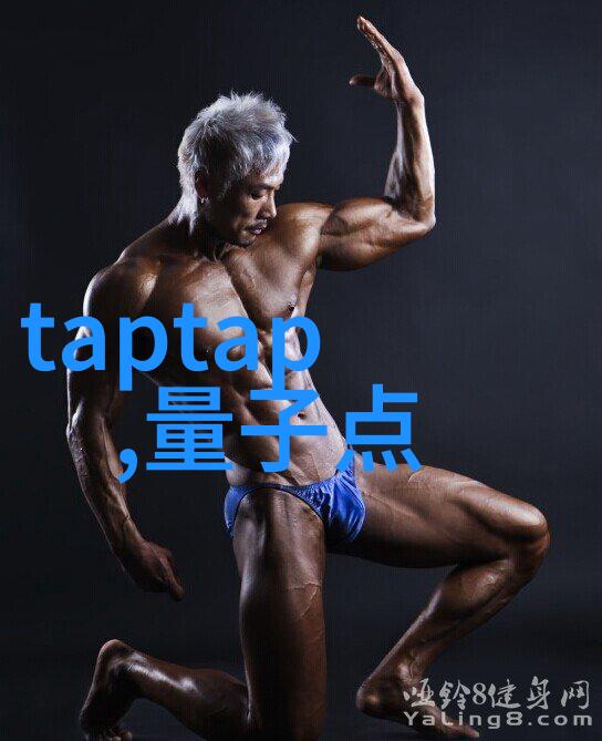 安全防线保障网的重要性与构建