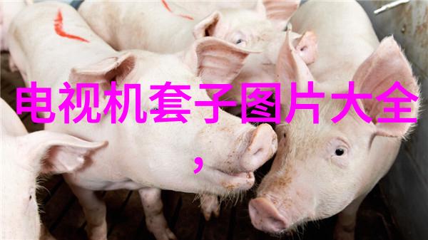 主题-高速离心机厂家报价精确分离技术的高效解决方案