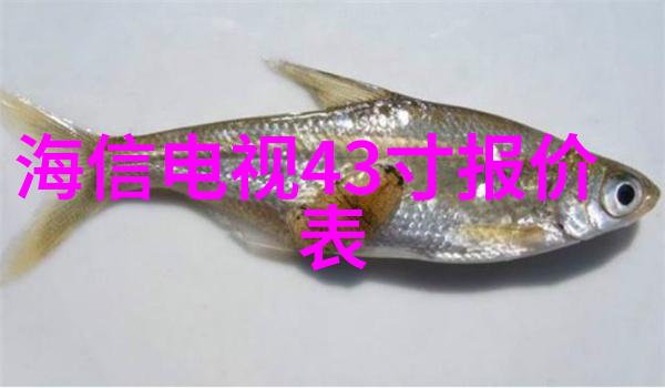 实验室用烘干箱高效制样设备