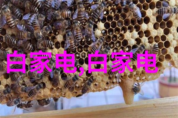 汽车配件图片轮廓中的魅力
