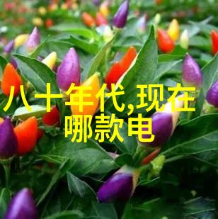 广东佛山不锈钢厂家守护工业的青春与光芒
