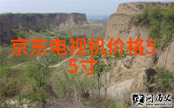 水质检测的关键指标解析PH值溶解氧和化学需氧量