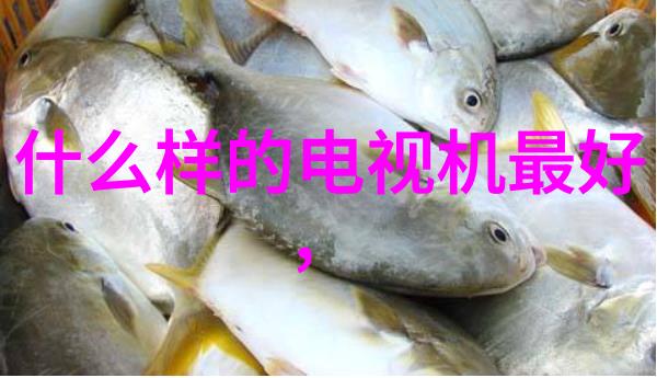 环境保护与资源利用现代工业对粉煤灰分选机需求分析