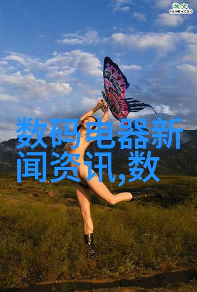 三瓣六瓣填料安装指南
