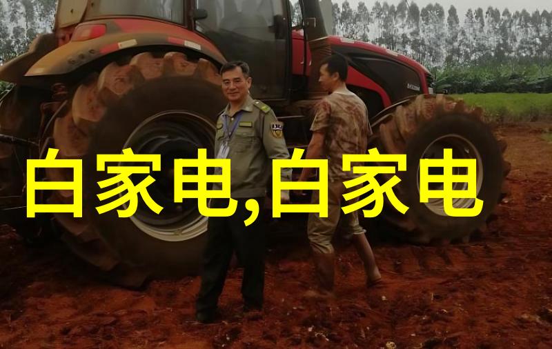 杀虫公司收费标准解析了解每平方米的打击力