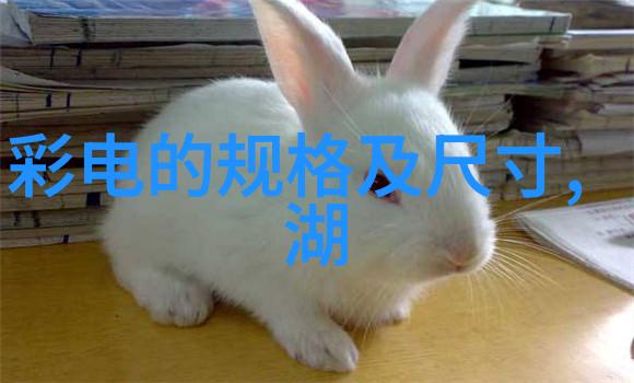 我们生活中的促进剂有哪些