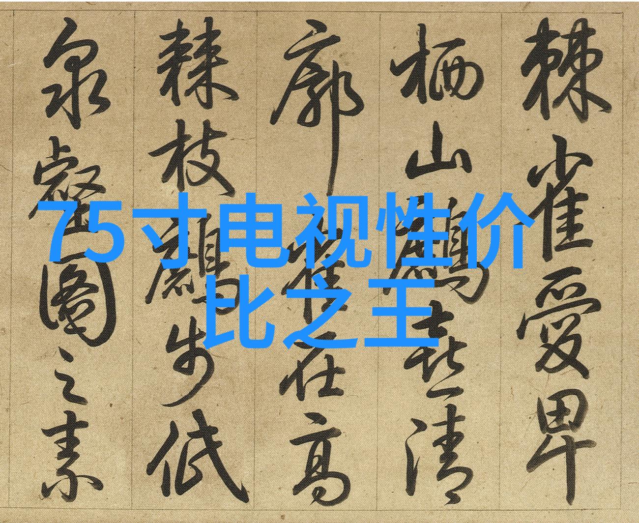 除了功能性外还有什么其他方面应该在创建化工设备布置图时考虑