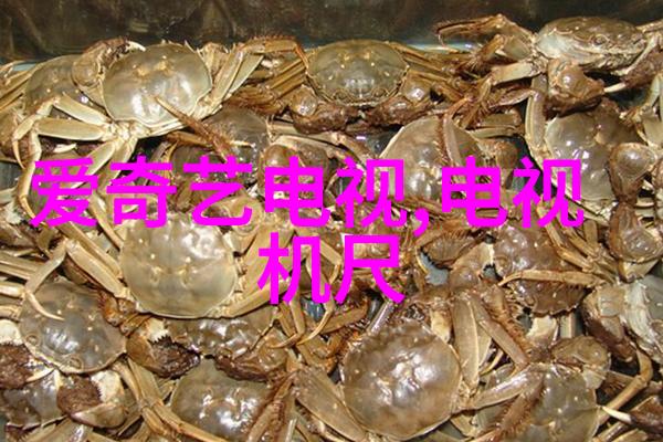 化工密封件设备高效密封解决方案